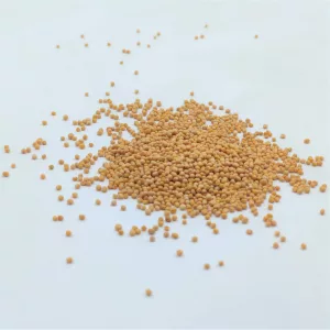 Moutarde BIO - Plante en vrac - Herboristerie du Dr. Sammut