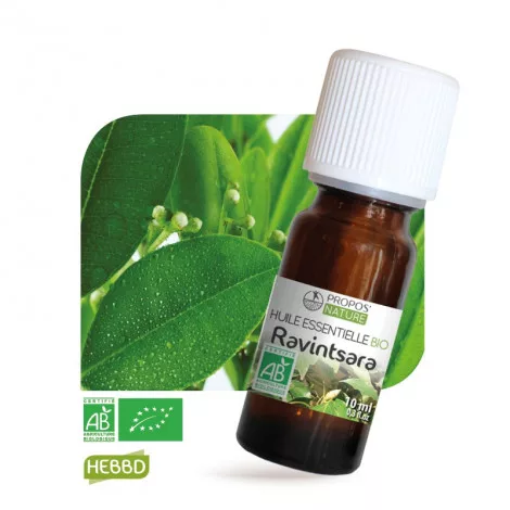 Ravintsara BIO – Huile Essentielle – 10 ml