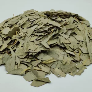 Eucalyptus feuille coupée BIO - Plante en vrac - Herboristerie du Dr. Sammut