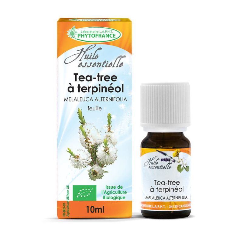 Hydrolat de Tea Tree - Arbre à thé - Bio