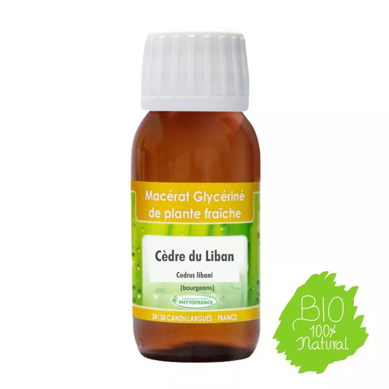 Cèdre du Liban BIO – Bourgeon – 60 ml