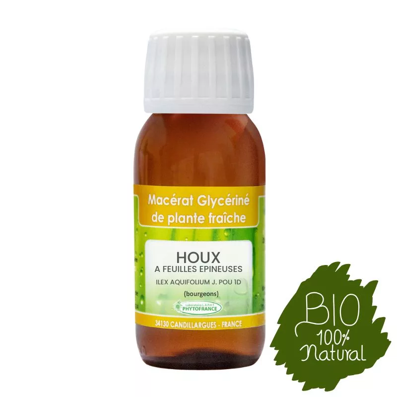 Houx à feuilles épineuses BIO – Bourgeon 1D – 60 ml