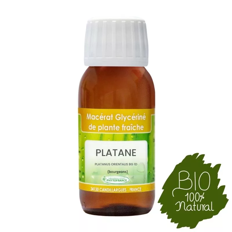 Platane BIO – Bourgeon 1D – 60 ml