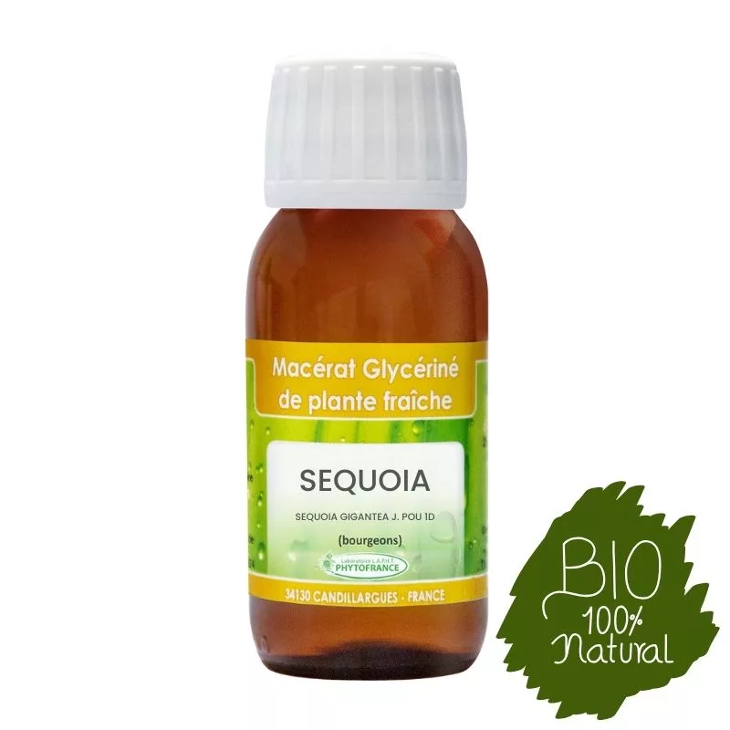 Sequoia BIO – Bourgeon 1D – 60 ml